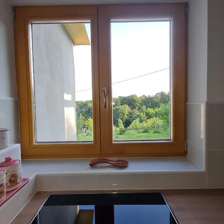 Hisa Nad Vinogradom *