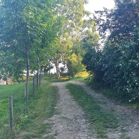 Hisa Nad Vinogradom 프루이
