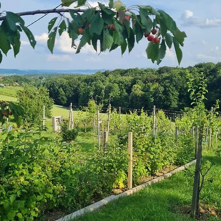 Hisa Nad Vinogradom Holiday home *