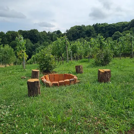 Hisa Nad Vinogradom