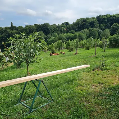 Hisa Nad Vinogradom * 프루이