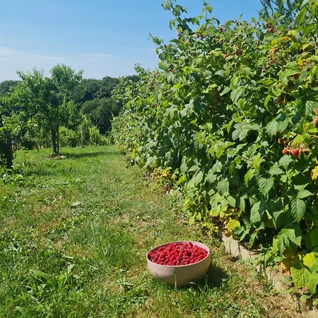 Hisa Nad Vinogradom 펜션