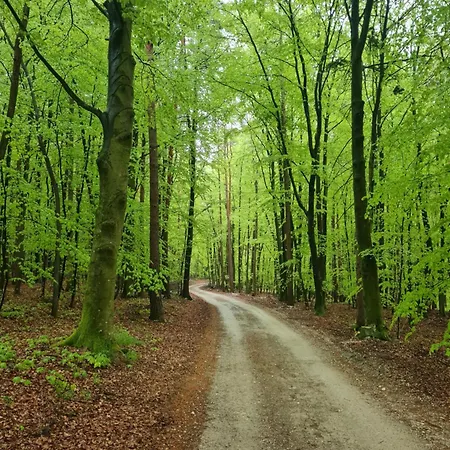 Hisa Nad Vinogradom *