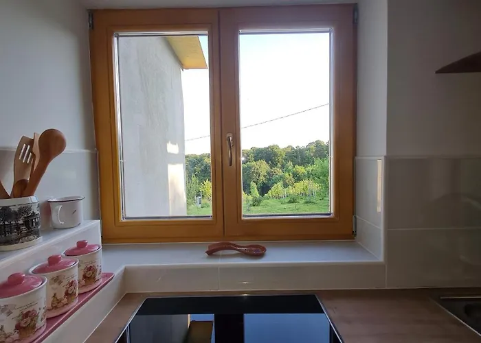 Hisa Nad Vinogradom *