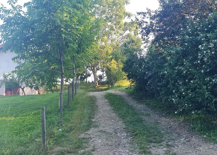 Hisa Nad Vinogradom Ptuj