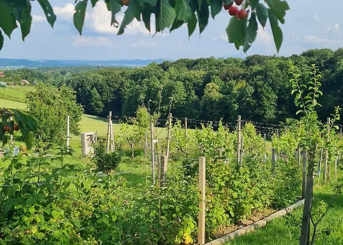 Hisa Nad Vinogradom Prázdninový dům *